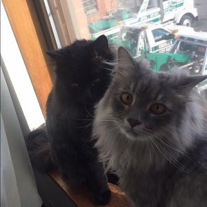 Meet your Posher, Crcrystal